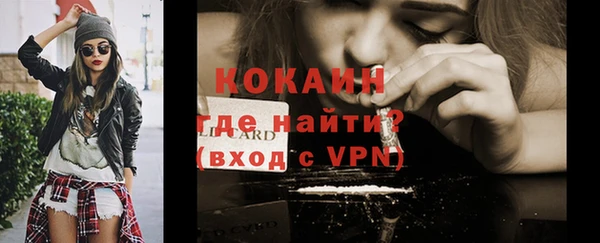 гидропоника Гусь-Хрустальный