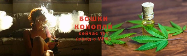 гидропоника Гусь-Хрустальный