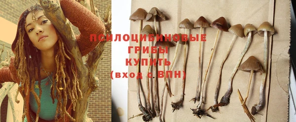стафф Дмитров