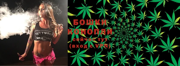 ПСИЛОЦИБИНОВЫЕ ГРИБЫ Дмитровск