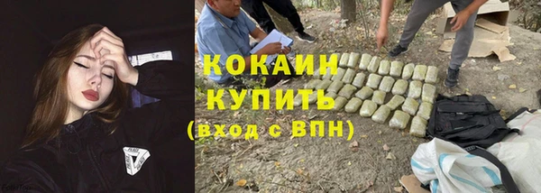 гидропоника Гусь-Хрустальный
