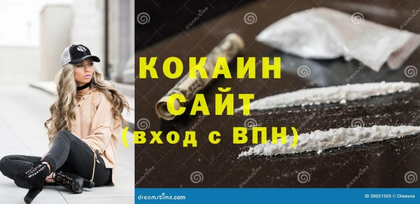 ГАЛЛЮЦИНОГЕННЫЕ ГРИБЫ Гусев