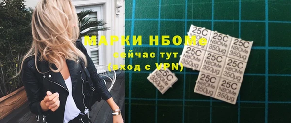 ГАЛЛЮЦИНОГЕННЫЕ ГРИБЫ Гусев
