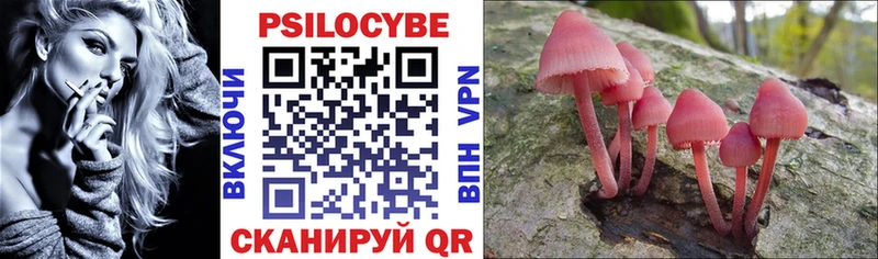 Галлюциногенные грибы Psilocybe  Заволжье 