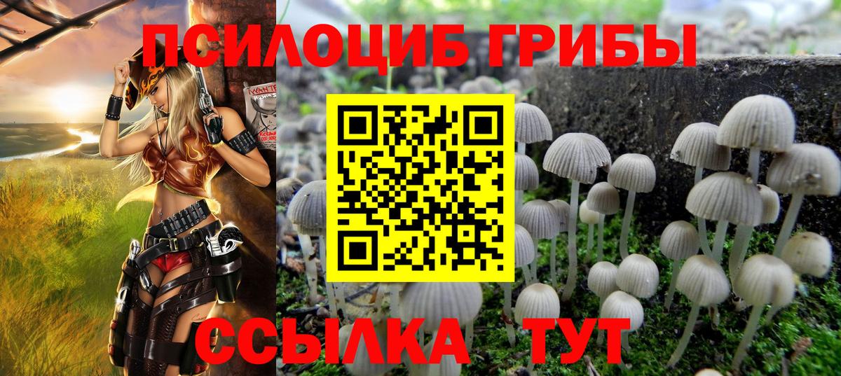 Галлюциногенные грибы прущие грибы Заволжье