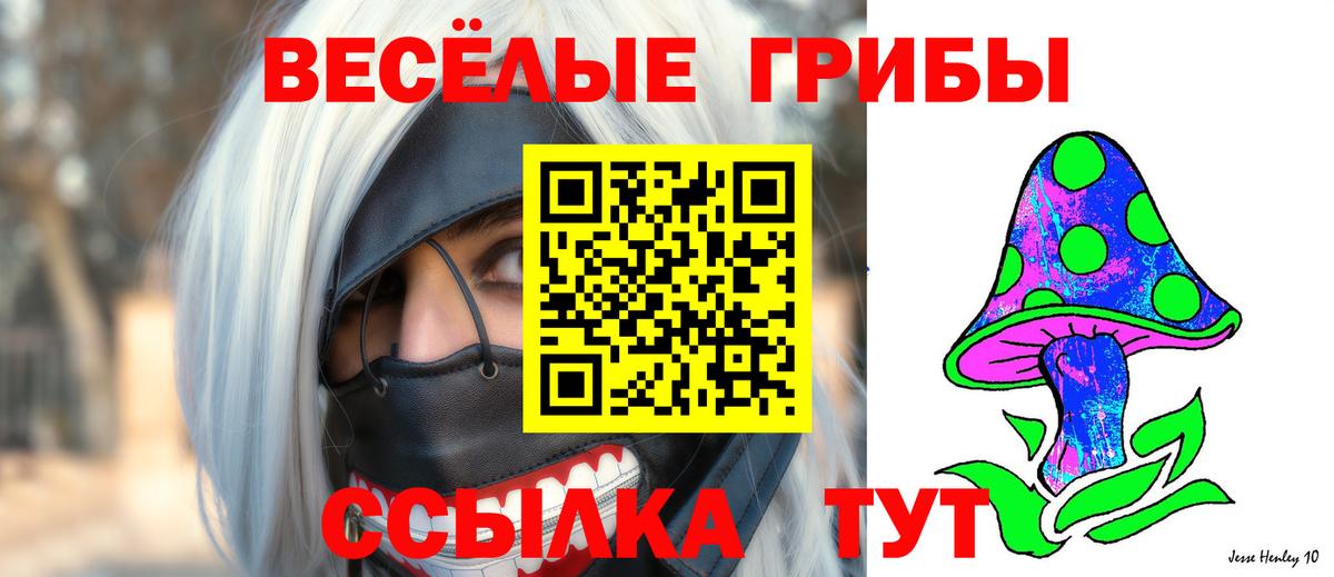 Заволжье  Псилоцибиновые грибы мицелий  Вход с VPN 